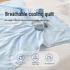 Four-Season Summer Cool Quilt