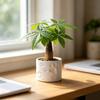 3D Printed Cat Paw Print Flower Pot, Cute Small Plant Pot for Desk, Animal Theme Planter for Home Office, Gift for Cat Lovers