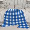 Blue And White Check Microfiber Flannel Cover Blanket Bedroom Living Room Sofa Soft And Comfortable Home Decoration