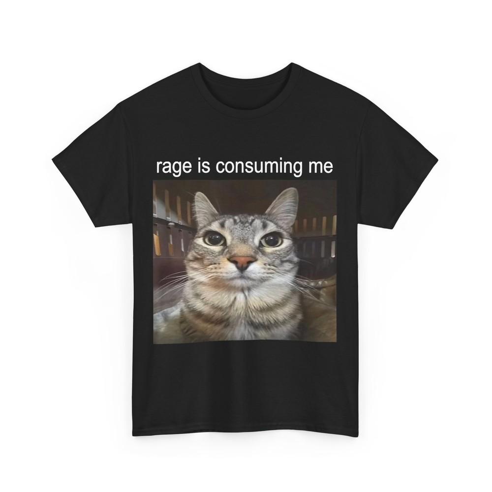 Rage Is Consuming Me Silly Staring Cat Meme T-Shirt Unisex T-Shirt L
