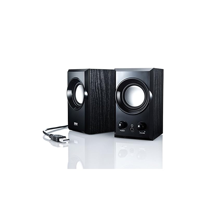 Sanwa Supply USB Speaker with Wooden Cabinet and Passive Radiator, Black MM-SPU7BK