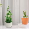 Plant Climbing Stand Easy Installation Sturdy Construction Anti-rust Heavy-duty Weatherproof Plant Stand