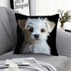 1pc White Long-Haired Puppy Pillowcase, Soft Comfortable Short Plush Fabric, Single-Sided Print, 44.96 X 44.96 Cm, Machine Washable, Zipper Closure, F
