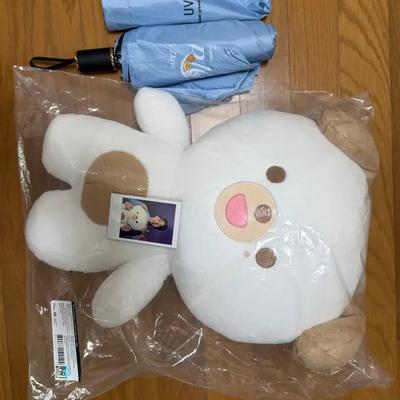 DAY6 Giant Petit Muls - Don (Below Original Price) + Includes Peerten Umbrella