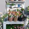 3pcs Metal Iron Rabbit Plant Pot Flower Insert Decorative Gardening Floral Arrangement Holder