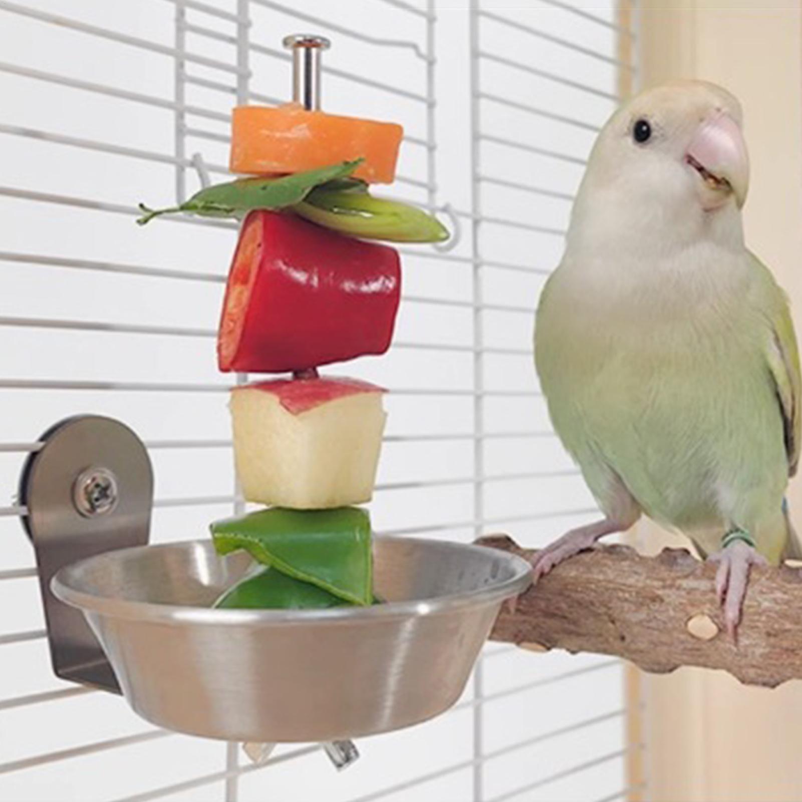 

Bird Cage Feeder Stainless Steel Treat Holder Stainless Parrot Feeder For Cockatiel Finch Pet Crate Pole Outside Backyard Indoor China Mainland