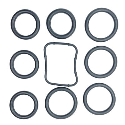Purkštukų kolektoriaus sandarinimo žiedai 1254376 1254375 1509352 Citroen Ford Peugeot