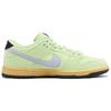 Nike Dunk SB Low 'Verdugo Mountain' HQ1626-300 Unisex