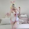 Sexy Lingerie Sexy Bunny Uniform Maid Dress Hip Skirt Passion Seduction Pure Desire Nightdress Woman