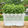 Thicken Hydroponic Box Plastic Planting Container Practical Germination Tray  Indoor Gardening