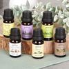 6x Olejki Zapachowe Eteryczne do Kominka Podgrzewacza Sauny Zestaw Olejków
