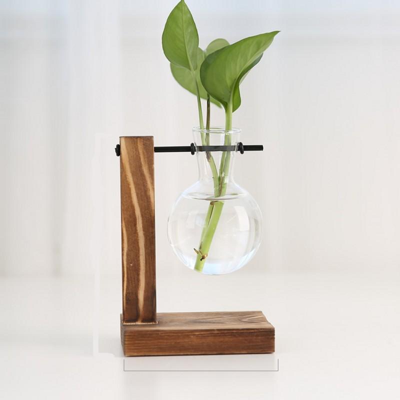 Creative Transparent Glass Plants Vase