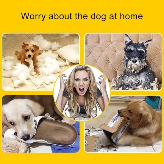 Kulatá pískací interaktivní tréninková psí míčová hračka