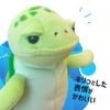 Shinada Global Moka Turtle Green Mini MOKM-0088G