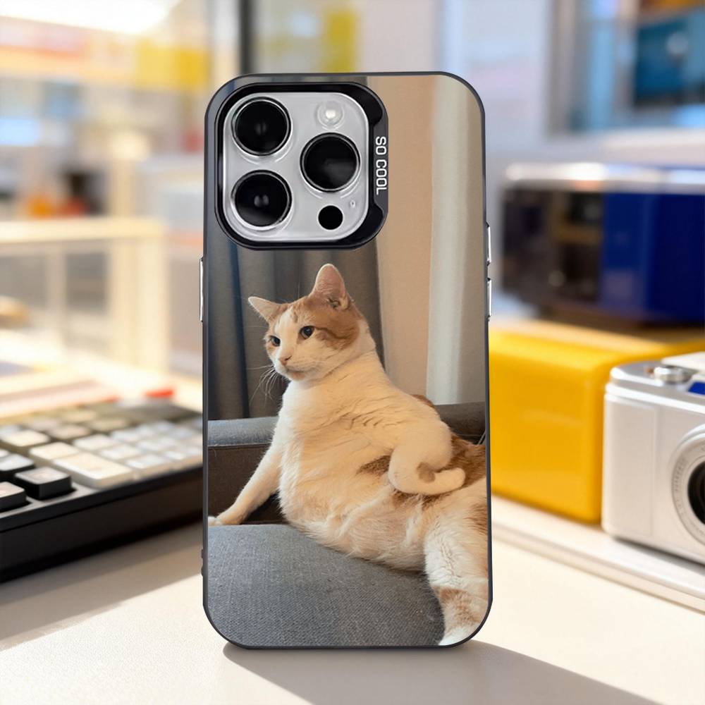 Funny Cat Memes Cute Phone Case For iPhone 11,12,13,14,15,16,17,Pro,Max,Plus,E,Air,Mini IMD Matte Black