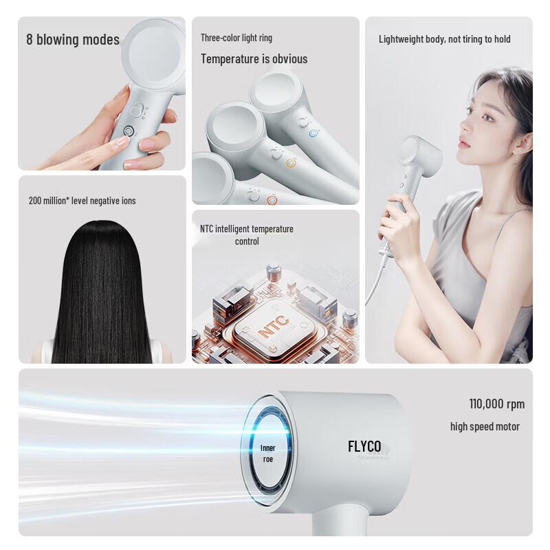 FLYCO High-Speed Negative Ion Hair Dryer FH6351
