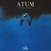Audio i wideo – Albumy muzyczne
