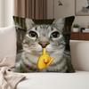 Cat Meme Kawaii Animal Funny Pillow Case Suitable For Bedrooms Living Rooms Cars Home Decoration
