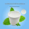LYISOSAN Mint Antibacterial Mouthwash