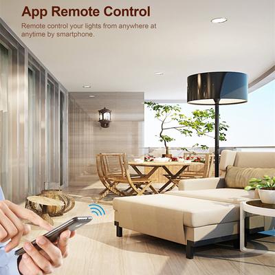 DM01 1 Gang WiFi Smart Light Switch Voice Control Timer Dimmer Module Remote Lighting Controller