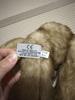 [USED] Harrods Teddy Bear
