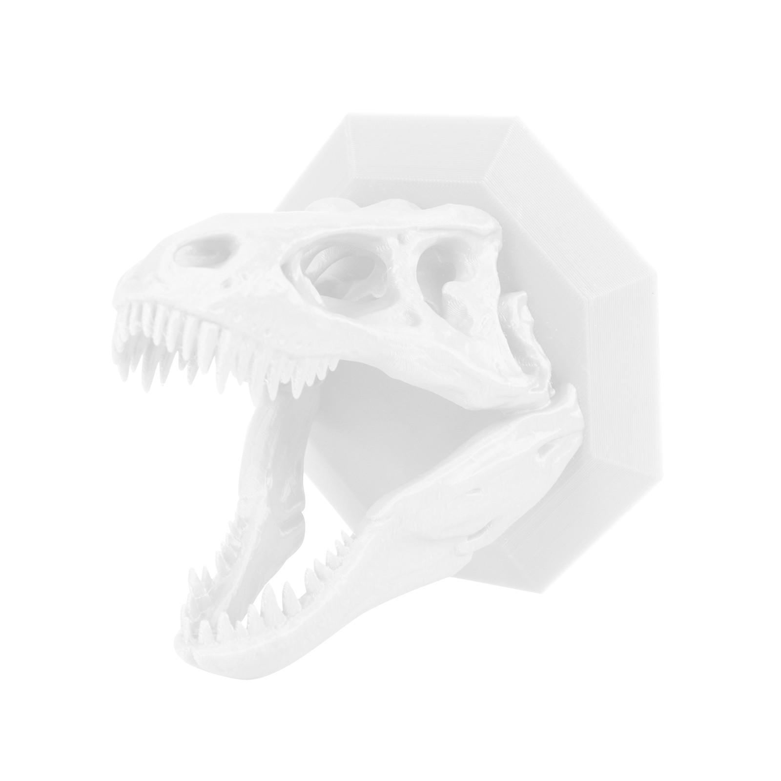 

3D-печатный настенный крючок в виде скелета динозавра для наушников, значимый современный домашний декор One Size