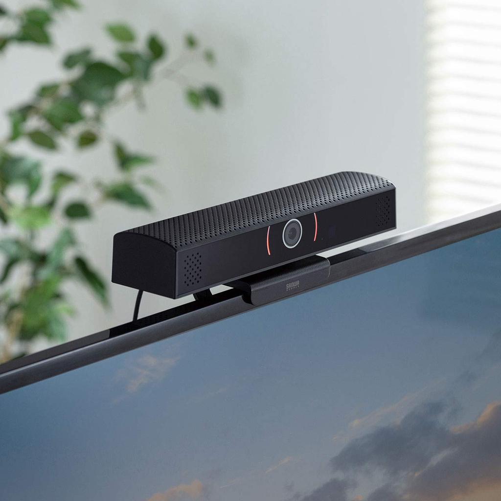 Sanwa Supply Webcam with Speaker Built-in CMS-V48BK