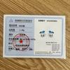 New 925 Silver Stitch Donald Duck Minnie Earrings With Zirconia Fashion High Quality Jewelry for Women Girls