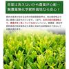 Shizuoka Prefecture Organic Whole Leaf Powdered Green Tea No Pesticides Chemical Fertilizers Nutrient-Rich Consumption Can Be Mixed Shochu Suitable My