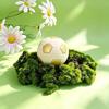 Heat Resistant Fruit Shaped Dessert Mold Food Grade Silicone French Pastry Mold