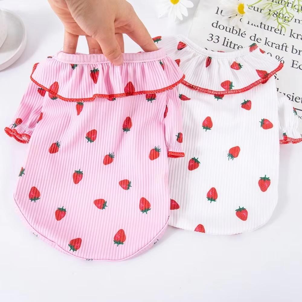 Comoda Pettorina per Cani Primavera Autunno Abbigliamento Cane Gatto Carino Animale Domestico Maglietta Base Fragola Cane/Gatto Medio/Piccolo