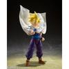 TAMASHII NATIONS S.H. Figuarts Dragon Ball Z Super Saiyan Son Gohan - Warrior Beyond Goku - Appro...