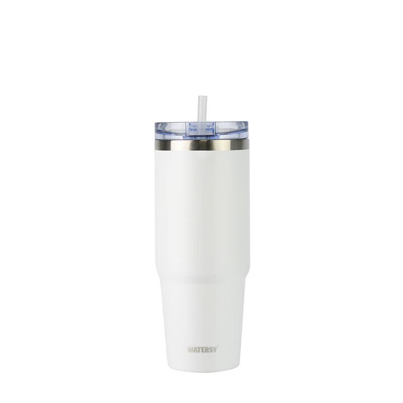 Stainless Steel Insulated Tumbler with Straw