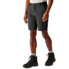 Regatta Herren Eldes Walking Shorts
