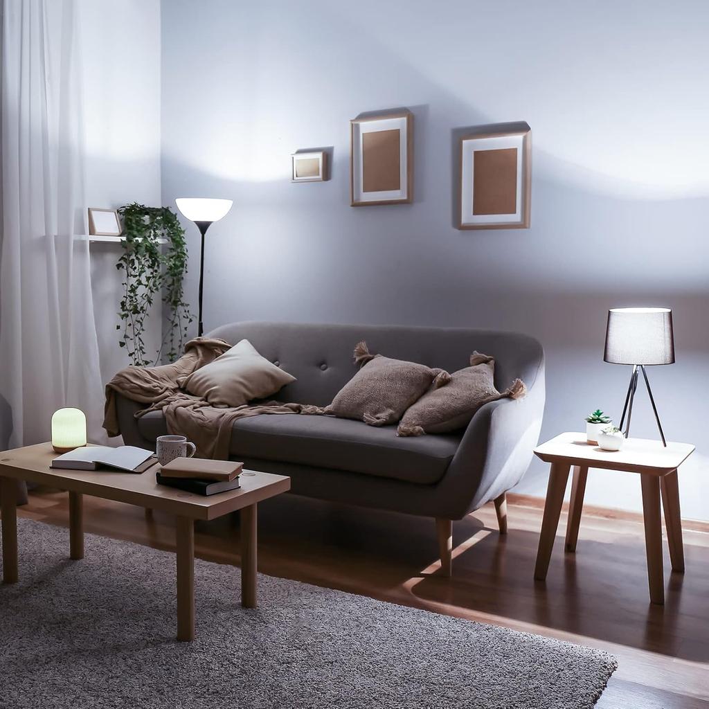 Klarlight Dimmable 6 Watt LED T10 Tubular Light Bulb 60 Watt Incandescent Equivalent E26 Edison Vintage Filament Tube Lamp, Daylight 6000K Medium