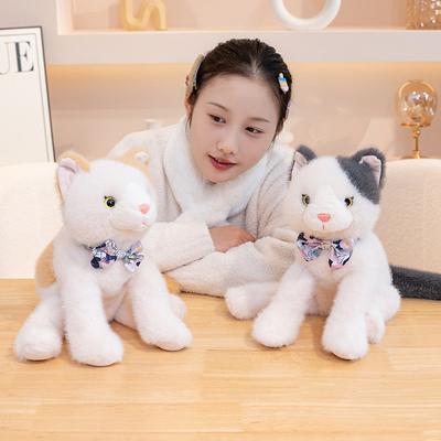 Niedliche Simulations-Kätzchenpuppe Plüschtier Katze Tasche Mädchen Umhängetasche Kinder Beruhigungspuppe