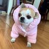Winter Male Boy Dog Clothes with Buckle Waterproof Pet Jumpsuit Overall for Small Dogs Chihuahua Yorkies Rompers Chien Vetement