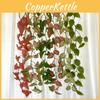 Epipremnum Aureum Cane For Kindergarten Wedding And Settings Photography
