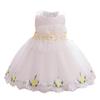Girls' Embroidered Formal Dresses: Infant & Toddler Mesh Puffy Skirts, Princess Style