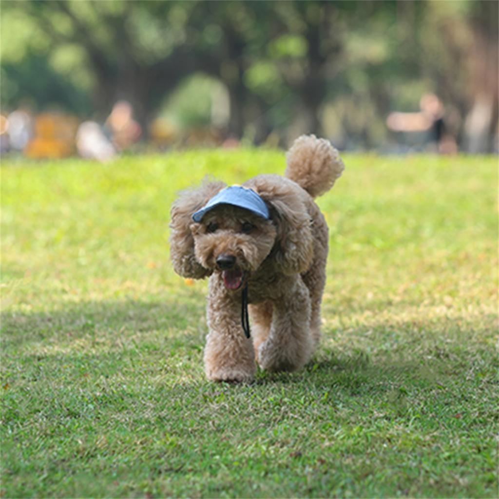 Cappello da baseball regolabile per cani da compagnia, con visiera, con fori per le orecchie, per sport all'aria aperta, per animali domestici