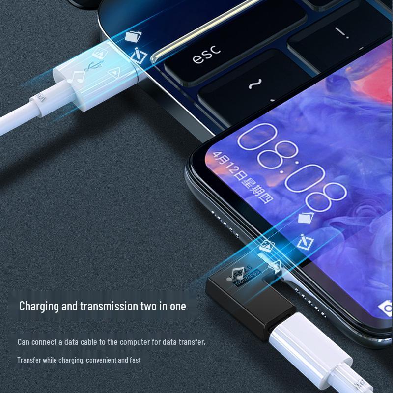 Type-C Female to Lightning Male Adapter for Charging & OTG
