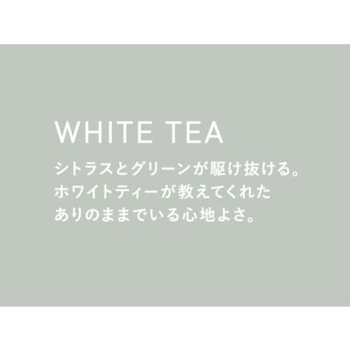 SHIRO White Tea Hand Serum 30g Before fragrance Before container change Hand cream