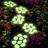 Luminescent Stones for Large Landscapes,Gardens,Landscapes,Potted Plant,Park,And Fish Tanks,Decorative Fluorescent Stones
