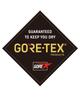 Titan Mitt Snow Gloves Men's GORE-TEX (BE237712)