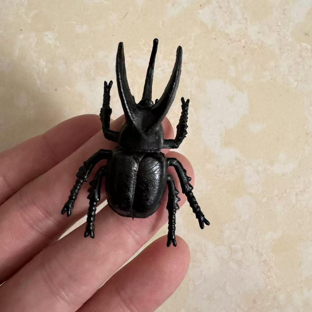 Biographical Analysis of Deer Antler Beetle and Claw Shaped Insect Beetle Gacha Simulation Animal Movable Joints Figure Toys