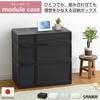Sanka Modular Case, a Freely Combinable Drawer Storage Case, Wide Medium, Black. This Versatile Drawer Storage Solution Lets You Customize Your Lifest