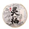 Raw Puer Tea Cake 400g Haiwan Sheng Puerh Plant Spirit