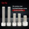 304 Stainless Steel Socket Head Cap Screw