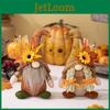 Cozy Thanksgiving Decor Standing Gnome Doll With Adorable Autumn Hat And Rustic Touch