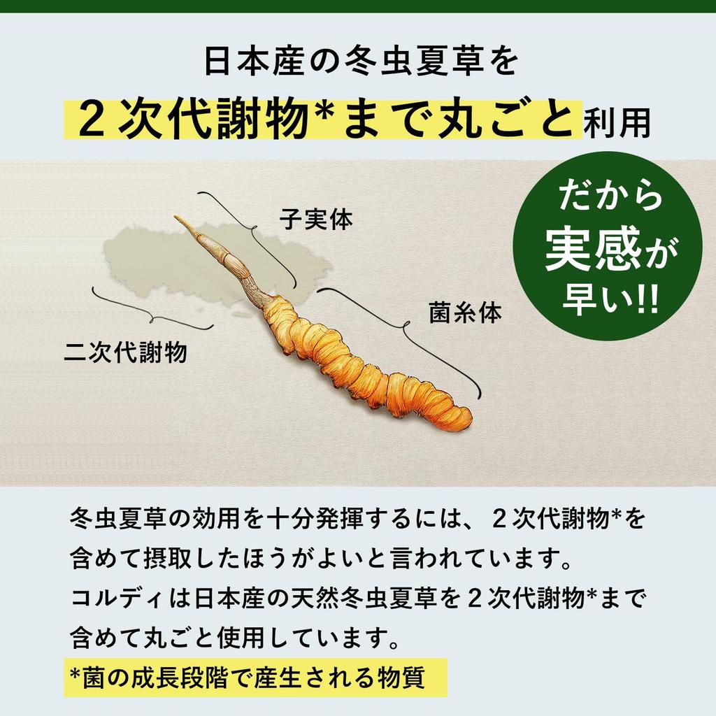 Cordy G 100g Suplement Wspomagający Odporność Krajowy Cordyceps Sinensis Ulotka w Zestawie Pies/Kot